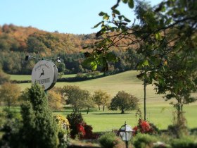 Wellenreiten im Wienerwald: Auf und ab mit dem Rennrad, © Wienerwald