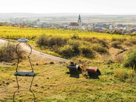 Wald & Reben Radtour, © Weinviertel Tourismus, www.pov.at