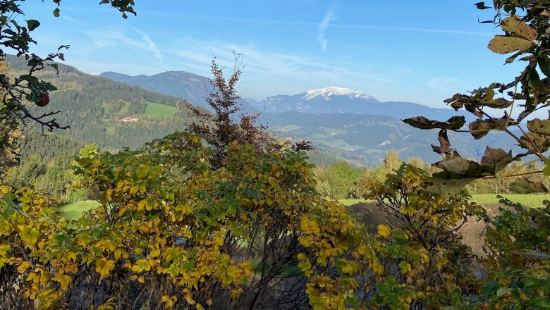 Blick zum Schneeberg direkt vom Haus, © Wiener Alpen