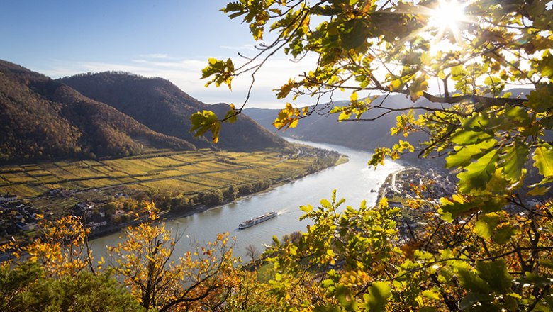 Herbstliche Landschaft mit Fluss und Schiff, umgeben von Hügeln und Weinbergen., © Donau Niederösterreich / Barbara Elser