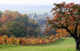 Katzelsdorf Kloster, © Wiener Alpen in Niederösterreich