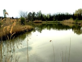 Watzelsdorf Wasserwelt, © Peter Stadler