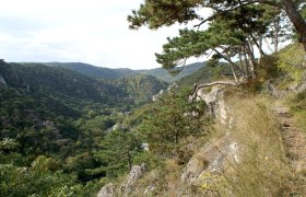 Naturpark Föhrenberge, © Naturpark Föhrenberge