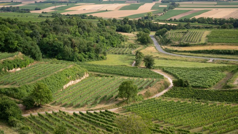 Weingut Mehofer - Neudeggerhof, © Elisabeth Mandl