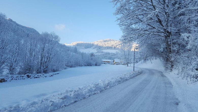 Zufahrt zum Hof - Schrattenbach, © Gruber