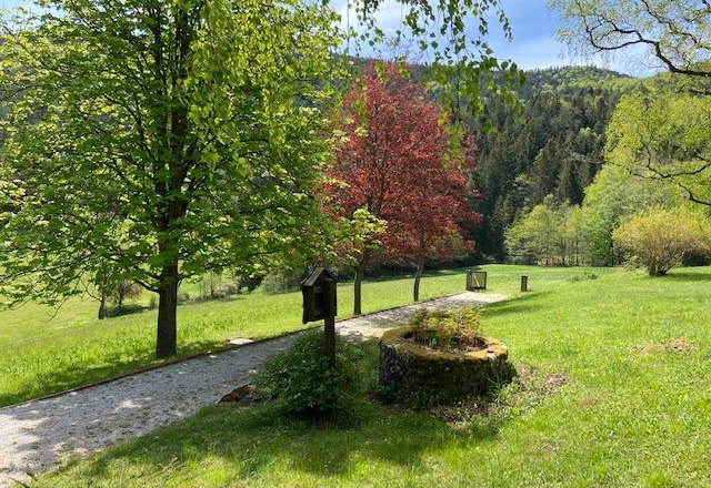 Aussicht Oberhof, © Wiener Alpen