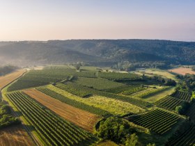 Gösing Rosskopf, © Donau Niederösterreich - Kamptal-Wagram-Tullner Donauraum