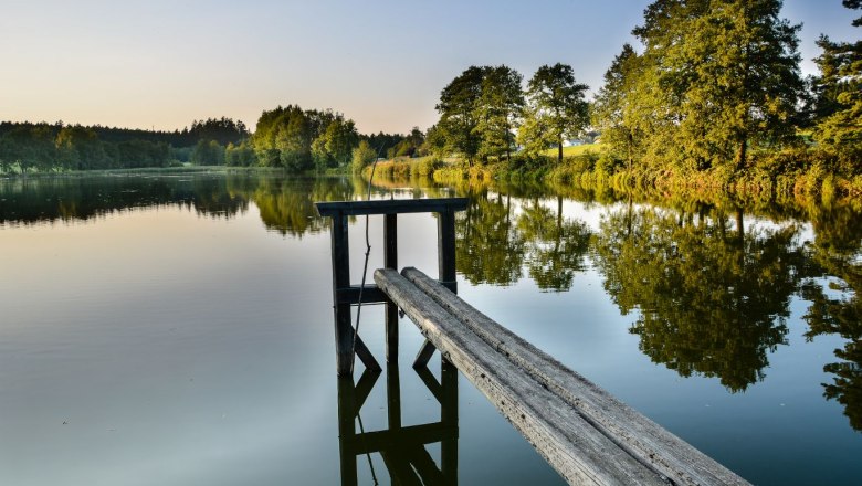 flohteich-sommer2015-klaus-winkelbauerx, © copyright Klaus Winkelbauer