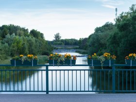 Aussicht Gewässer, © Stadtgemeinde Traismauer