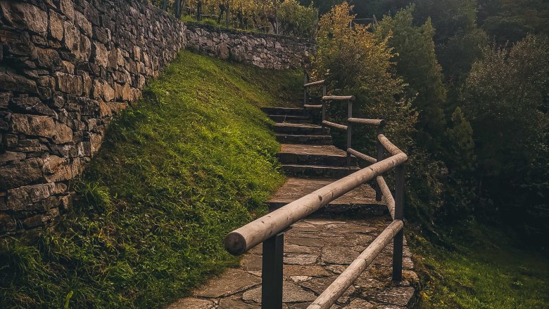 Ruine Hinterhaus, © Niederoesterreich Werbung_Michal Petru