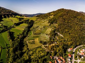 Ried Trenning, © Wachau-Nibelungengau-Kremstal