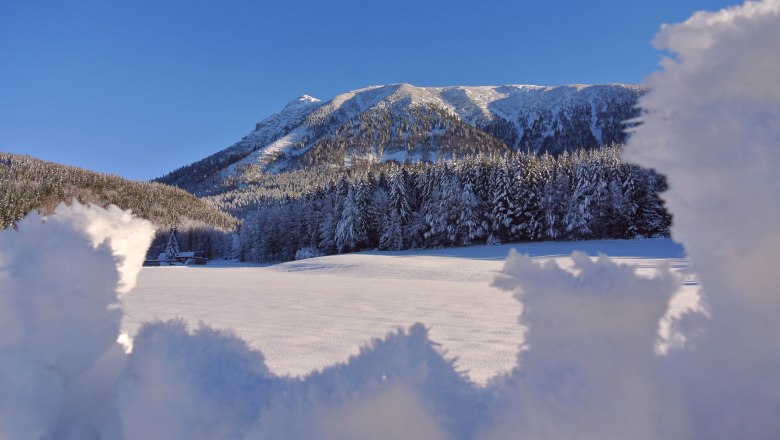 Ötscher im Winterkleid, © Marika Roth