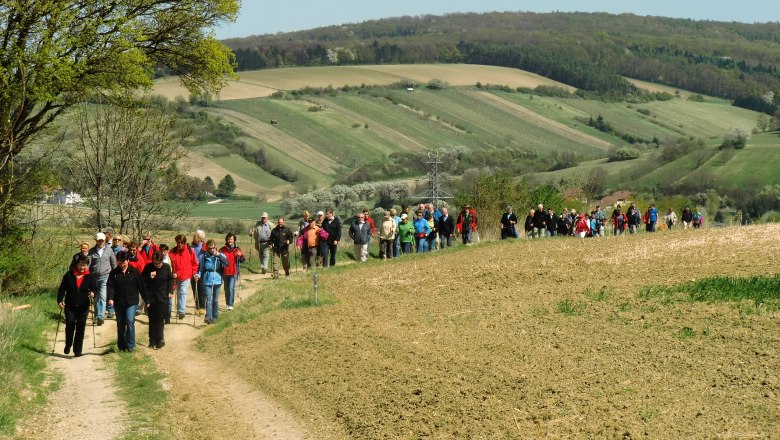 Wandern am Jakobsweg in Sieghartskirchen, © Marktgemeinde Sieghartskirchen