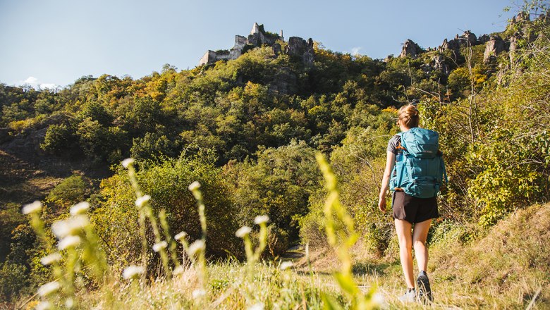 Welterbesteig Wachau -Dürnstein, © Franziska Consolati