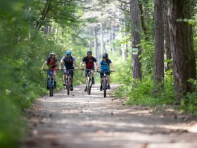 MTB Wienerwald, © Wienerwald Tourismus GmbH / Markus Frühmann