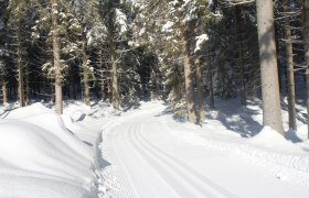 Verbindungsloipe, © Waldviertel Tourismus