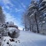 Garten im Winter, © Reisenbichler