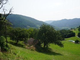 Jauerling-Runde 07: Mühldorf-Spitz, © Wachau-Nibelungengau-Kremstal