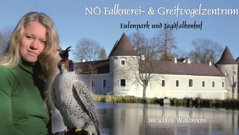 Lower Austrian Falconry and Bird of Prey Centre, © NÖ Falknerei- und Greifvogelzentrum