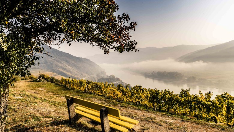 Rastplatz am Tausendeimerberg im herbstlichen Spitz, © Robert Herbst