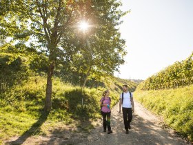 am Weg bei Krustetten, © Wachau-Nibelungengau-Kremstal