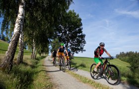 Mountainbiken in den Wiener Alpen, © ©Wiener Alpen, Foto: Thomas Bartl