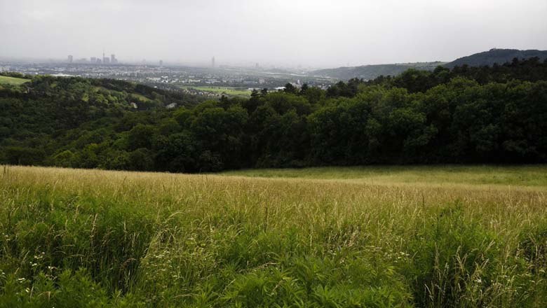 Ausblick vom Bisamberg, © LEADER-Region Weinviertel / Lahofer