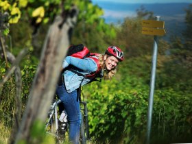 Mountainbiken im Weingarten - weinfranz.at, © Mostviertel