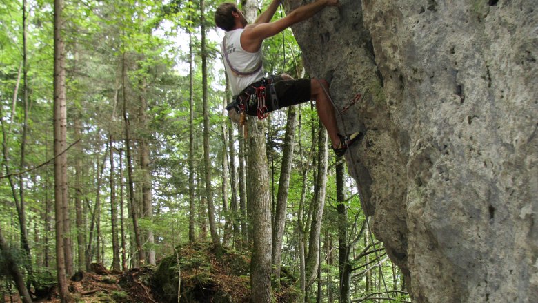 Pure nature in the Schluchtenweg, © Ybbstal Climbing