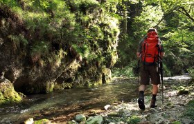 Falkenschlucht Türnitz, © weinfranz.at