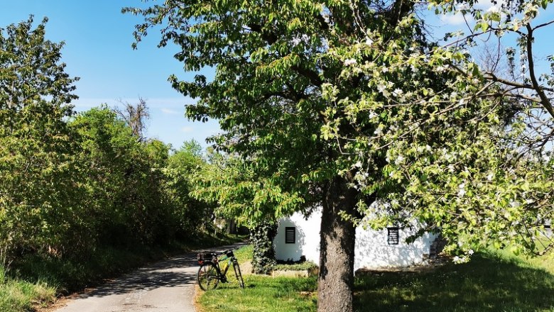 Versteckte Kellergasse Zeiselberg, © Weinstraße Weinviertel