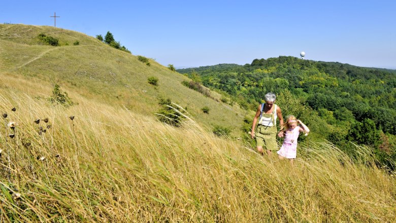 Buschberg mit Blick auf Steinmandl, © Naturpark Leiser Berge