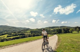 Zubringer, © Wienerwald Tourismus GmbH / Christoph Kerschbaum