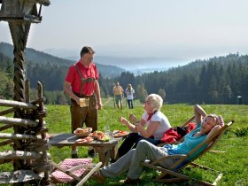 Wandern, © ©Wiener Alpen, Foto: Franz Zwickl