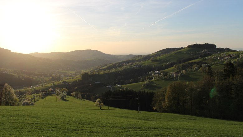 Looking west, © Pöchacker - Mostviertel Tourismus