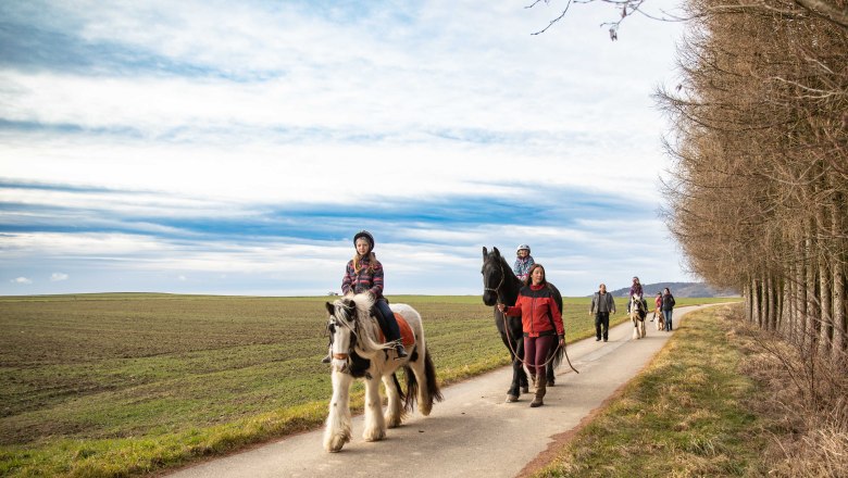 Pferdewanderung, © Sabine Strasser