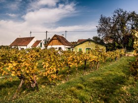 Feuersbrunn, © Donau Niederösterreich - Kamptal-Wagram-Tullner Donauraum