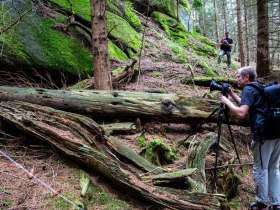 Fotowalk, © Waldviertel Tourismus