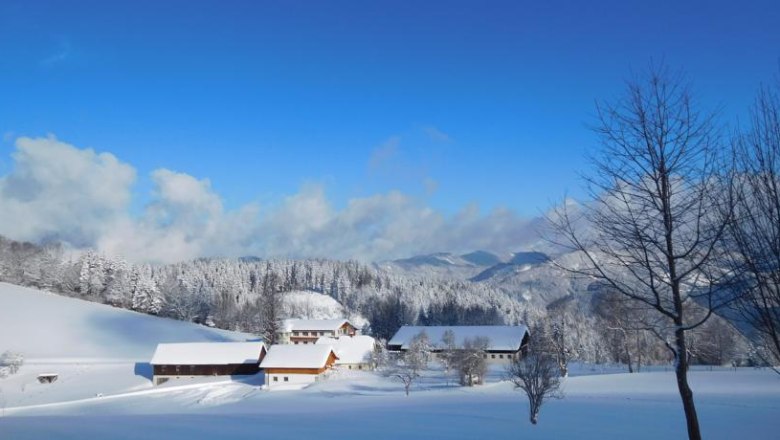 Köhr farm, © Bauernhof Köhr