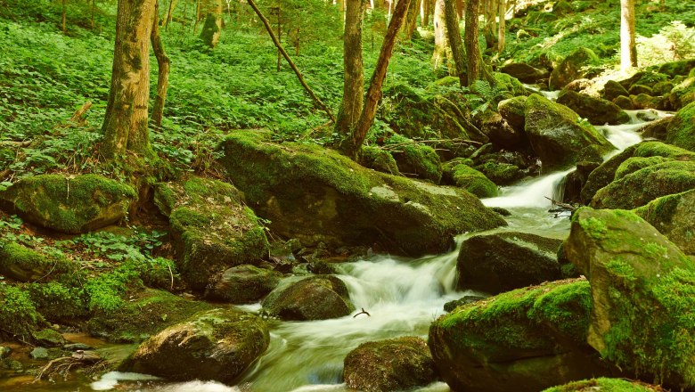 Steinbachklamm, © Klaus Engelmayer