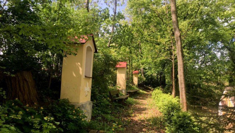 Der idyllische Quellenweg führt zum Bründl, © Weinstraße Weinviertel