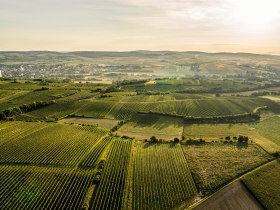 Grossweikersdorf, © Donau Niederösterreich - Kamptal-Wagram-Tullner Donauraum