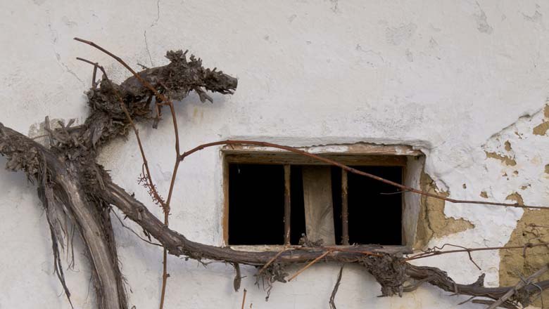 Kellerfenster, © Weinviertel Tourismus / Mödl