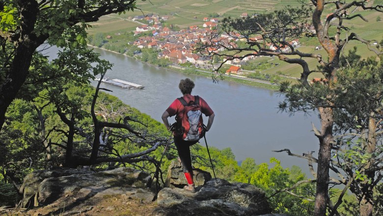 Am Welterbesteig Wachau: Abstieg Seekopf nach Rossatz, © Franz Hauleitner