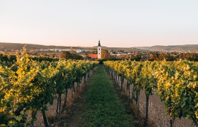 Langenlois, Austria's largest wine town, © Romeo Felsenreich