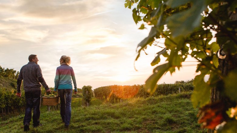 Holiday along Lower Austria’s wine route, © Niederösterreich-Werbung/Doris Schwarz-König