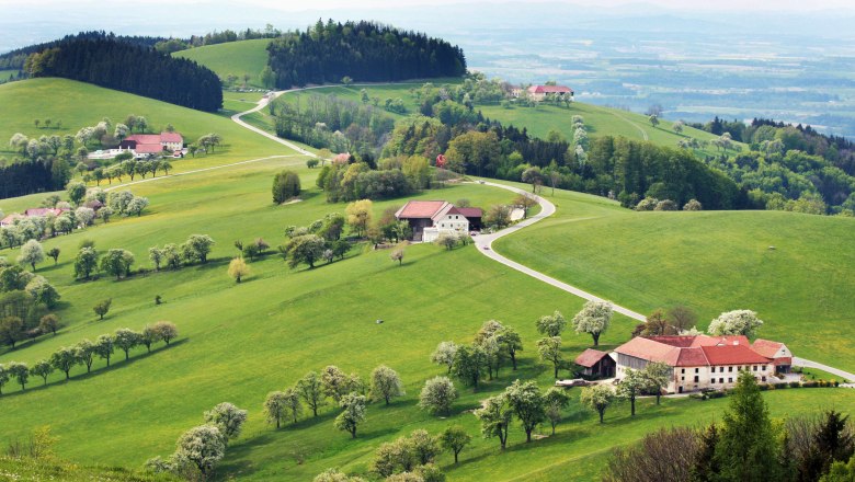 Blick über die sanft-hügelige Moststraße, © weinfranz.at