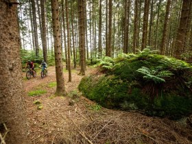 Granittrail, © Waldviertel Tourismus, Erwin Haiden