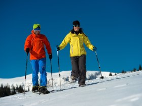 Schneeschuhwandern, © ©Wiener Alpen, Foto: Claudia Ziegler