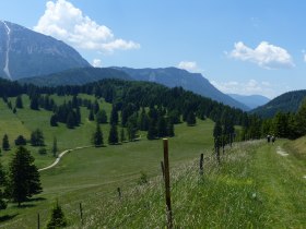 Weg Schoberalm, © Wiener Alpen in Niederösterreich